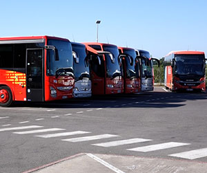 Témoignage transport de passagers